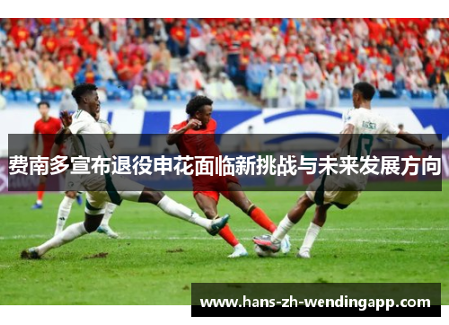 费南多宣布退役申花面临新挑战与未来发展方向