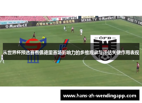 从世界杯预选赛看佩德里赛场影响力的多维观察与评估关键作用表现